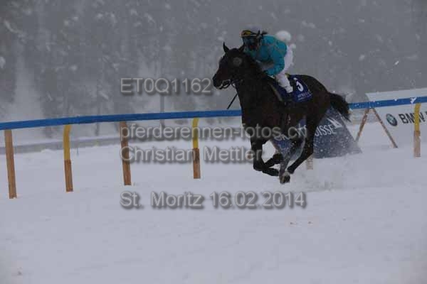 ET0Q1162 prot